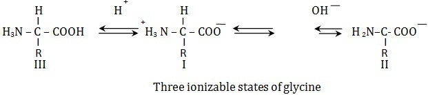 three ionizable states of glycine
